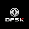 dfsk